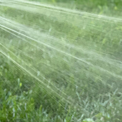 Watering plants
