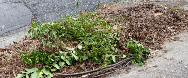 Storm Debris for Small Yards