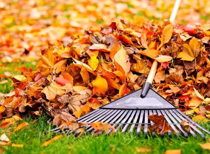 Yard Waste